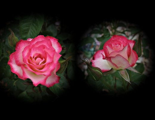 534718 (a): :1628x1258